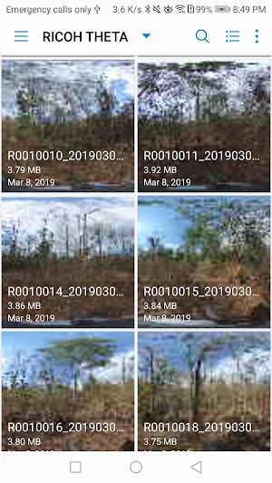 BasalArea Screenshot 1
