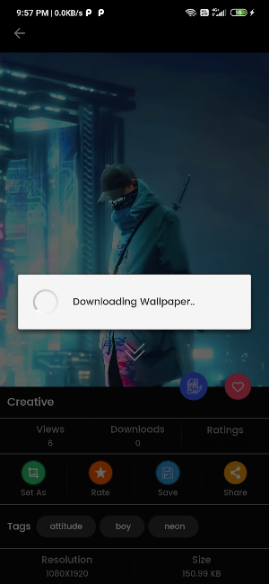 MegaPix Screenshot 3