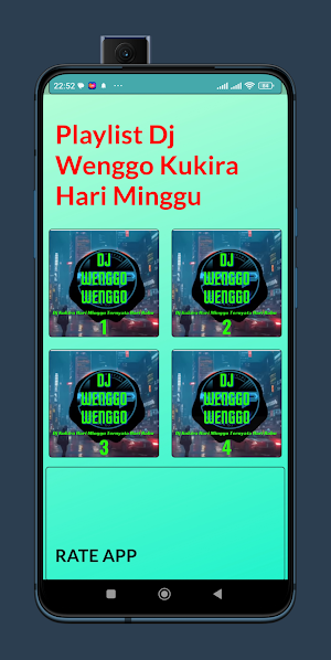 Dj Wenggo Kukira Hari minggu Screenshot 1