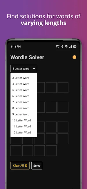 Word Solver Pro Screenshot 1
