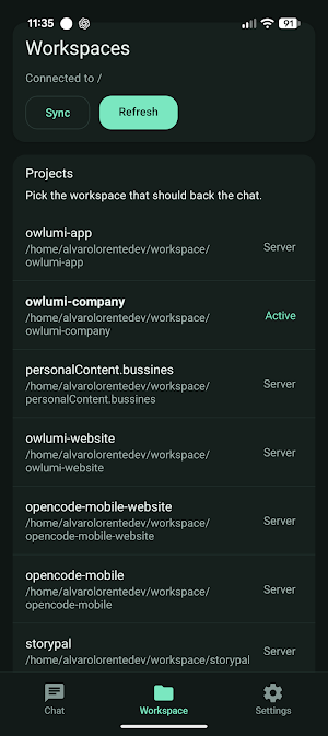 Opencode Screenshot 3