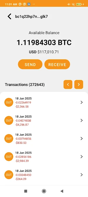 Satoshi Wallet Screenshot 0