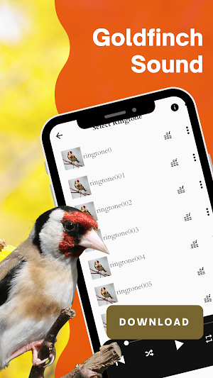 goldfinch sound screenshot 1