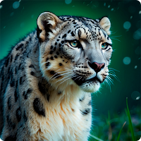 Snow Leopard HD Wallpapers