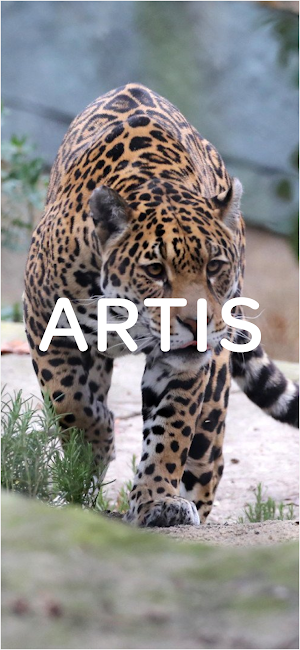 ARTIS Screenshot 0