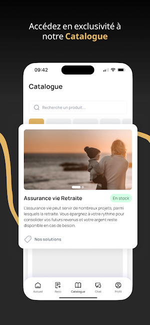 NPL Patrimoine Screenshot 2
