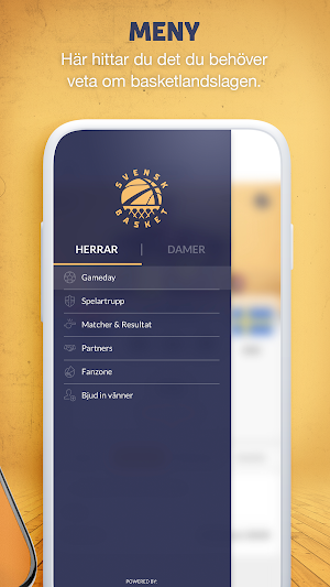 SweBasket Screenshot 1