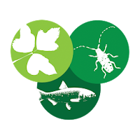 NJ Invasives