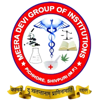 MEERA DEVI GROUP