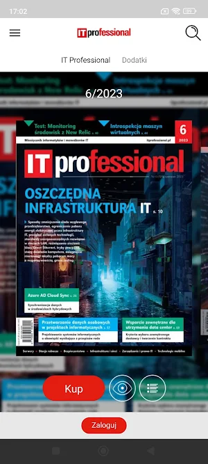 IT Professional Screenshot 1