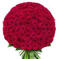 Flowers Stickers for Whatsapp