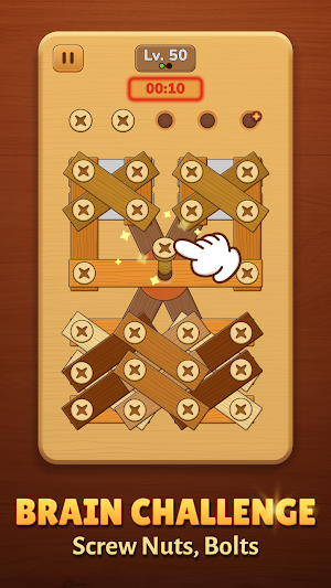 Screw Challenge - Bolts Puzzle Screenshot 1