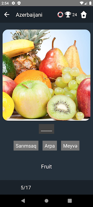 Azerbaijani Language Tests Screenshot 3