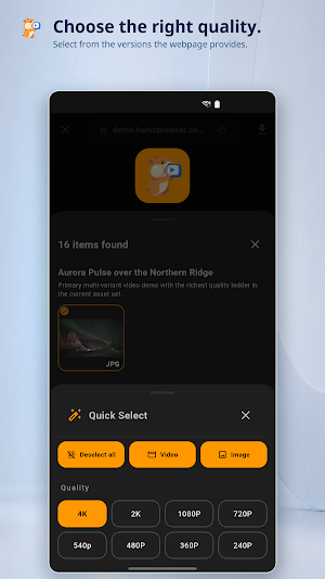 Hams: Video & Image Downloader Screenshot 3