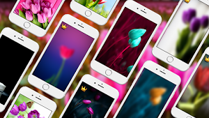 Tulip Wallpapers PRO Screenshot 0