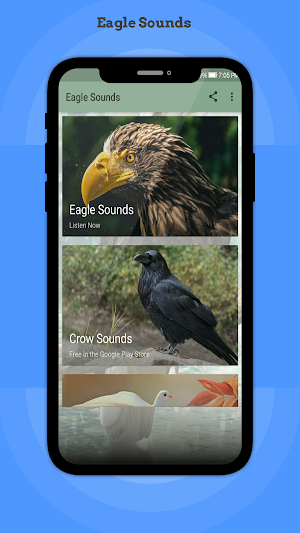 Eagle Sounds Screenshot 0