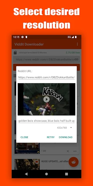 Video Downloader for Reddit Screenshot 2