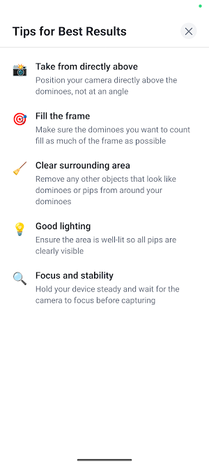 AI Domino Pip Counter Screenshot 3