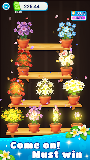 Flower Align Screenshot 0