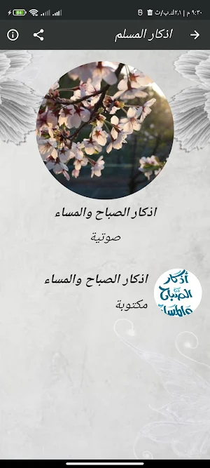 القران رمضان الطوخى بدون نت Screenshot 3
