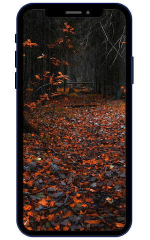 Autumn Wallpapers Screenshot 2