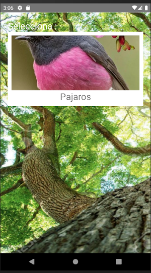Rompecabezas de Pajaros Screenshot 0