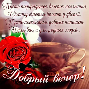 Добрый Вечер Screenshot 2