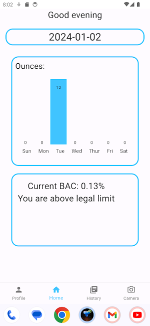 Alcohol Logger (Temporary) Screenshot 2