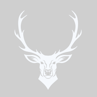 Iron Stag Fitness