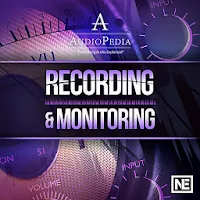 Recording and Monitoring from 