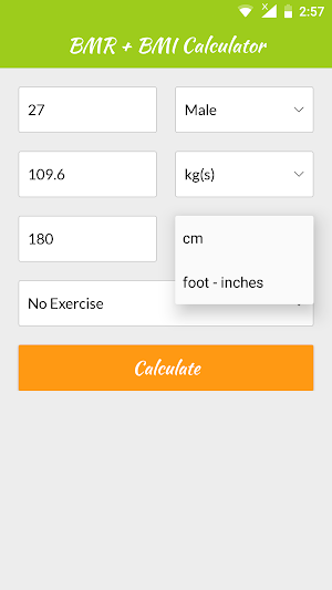BMR & BMI Calculator Screenshot 3
