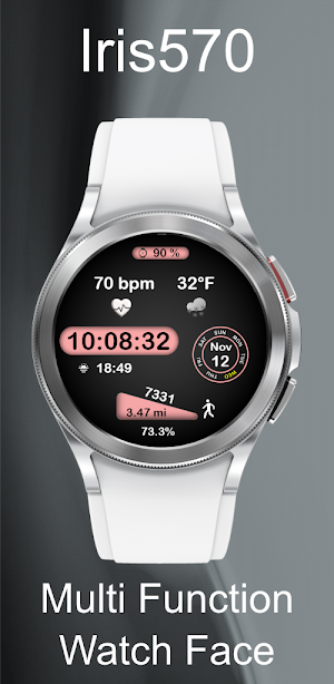 Iris570 Multi-Function Watch Screenshot 2