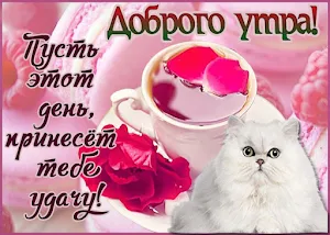 Доброе утречко Доброе утро Screenshot 2
