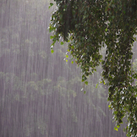 Rain Sounds Sleep Relax
