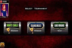 Backgammon Championship Screenshot 2