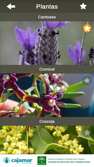 PlantEN (Plantas y Enemigos) Screenshot 1