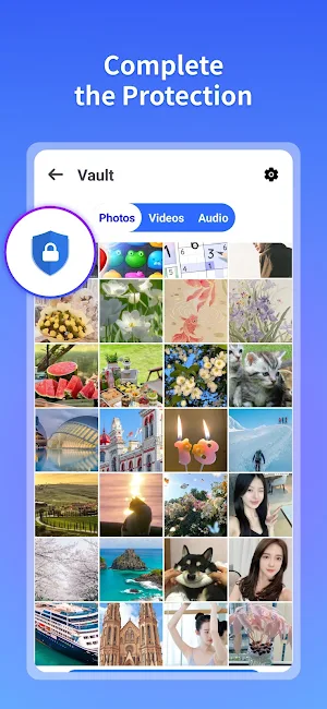 Private Vault - Gallery Lock Screenshot 3