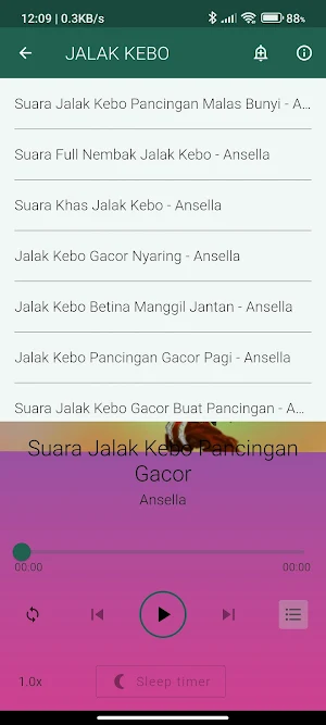 Suara Burung Jalak Gacor Screenshot 2