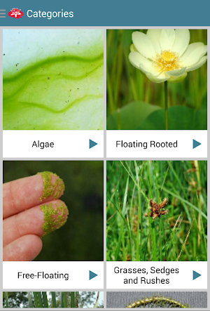 Aquatic Plants Screenshot 1