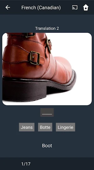 Learn Canadian French. Speak Canadian French. Screenshot 3