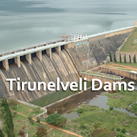 Tirunelveli Dams Water Level