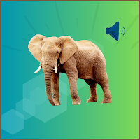 Elephant Sounds