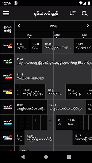 myCANAL MYANMAR Screenshot 3