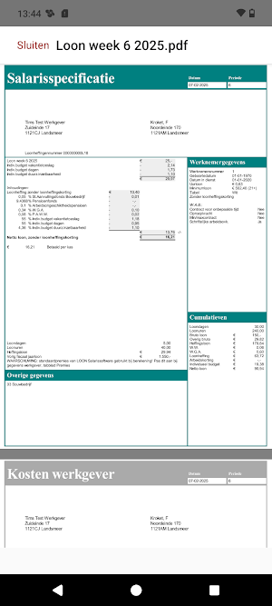 Loondossier Screenshot 2