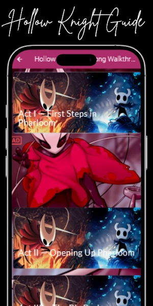 Silksong Advices Hollow Knight Screenshot 2