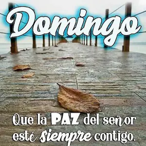 Imágenes con Frases Screenshot 0