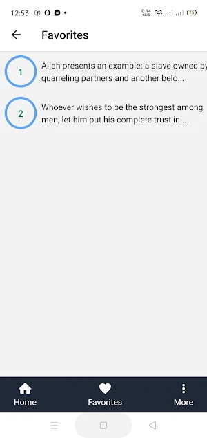 Islamic Mental Models - Quotes Screenshot 2