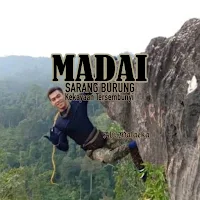 MADAI: Bird Nest The Hidden Wealth