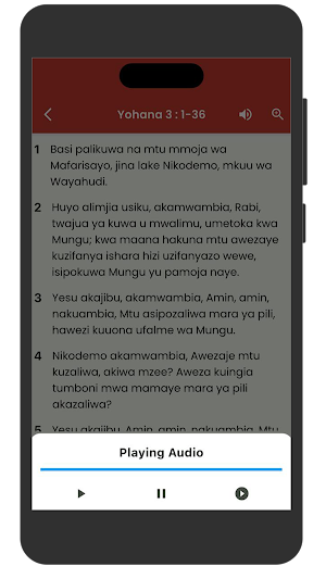AI Swahili Bible Screenshot 3