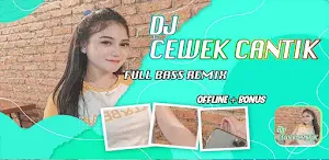 Dj Cewek Cantik Remix Offline Screenshot 0